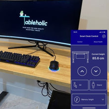 Load image into Gallery viewer, TABLEHOLIC E-DESK PRO (Electric Adjustable with Bluetooth Control)

